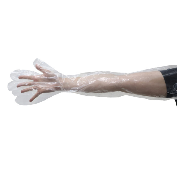 Shoulder Length Poly Gloves - 6 Pair