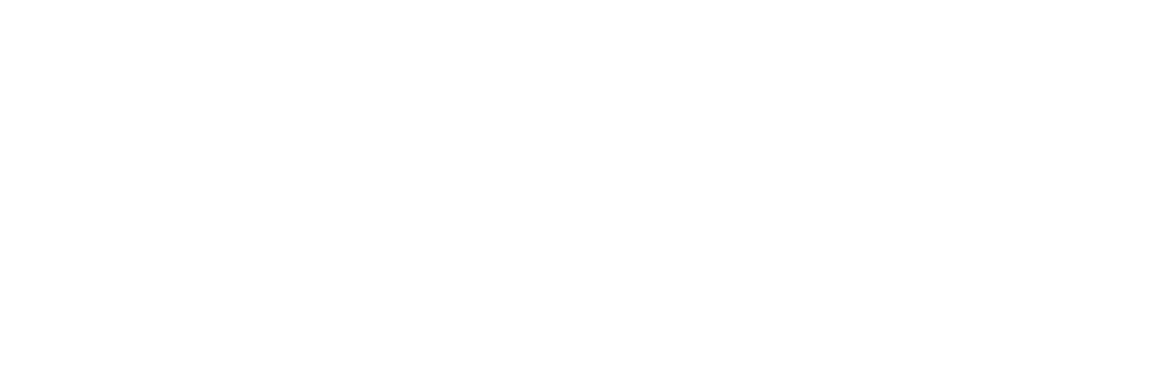 Maxvac Vacuum Sealers Logo